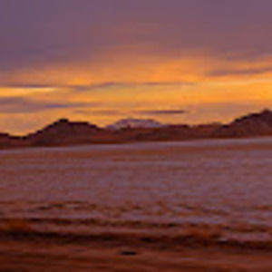 Meet your Posher, Shelby